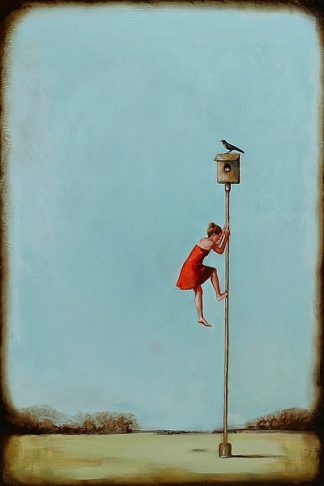 A363D - Armstrong, Alicia - Competition