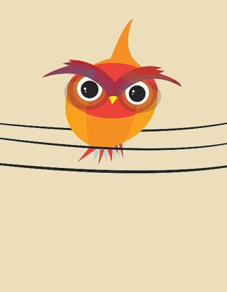 D935D - Dalyan, Volkan - Owl on a Wire