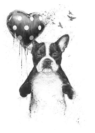 S1302D - Solti, Balazs - My Heart Goes Boom