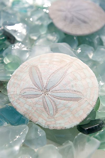 Crystal Cove #29 ABSHC26 - Blaustein, Alan - Crystal Cove #29