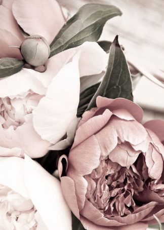 MF969-1114 - Design Fabrikken - Opulent 1