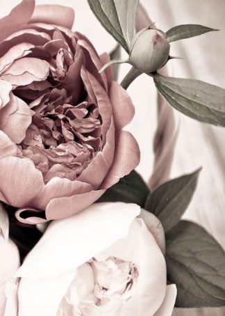 MF969-1115 - Design Fabrikken - Opulent 2