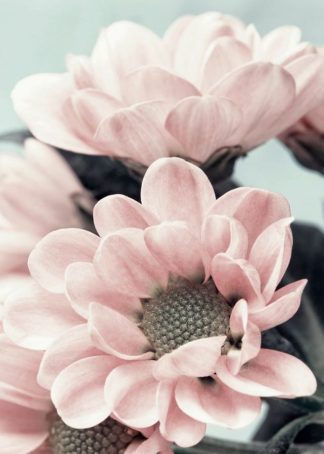 MF969-1116 - Design Fabrikken - Opulent 3