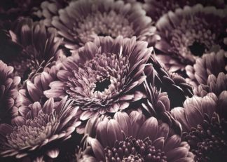 MF969-1117 - Design Fabrikken - Opulent 4