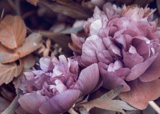 MF969-1227 - Design Fabrikken - Secret 14