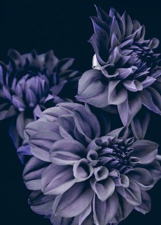 MF969-1228 - Design Fabrikken - Secret 15