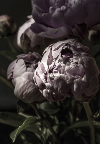 IN32801 - Incado - Flower 3