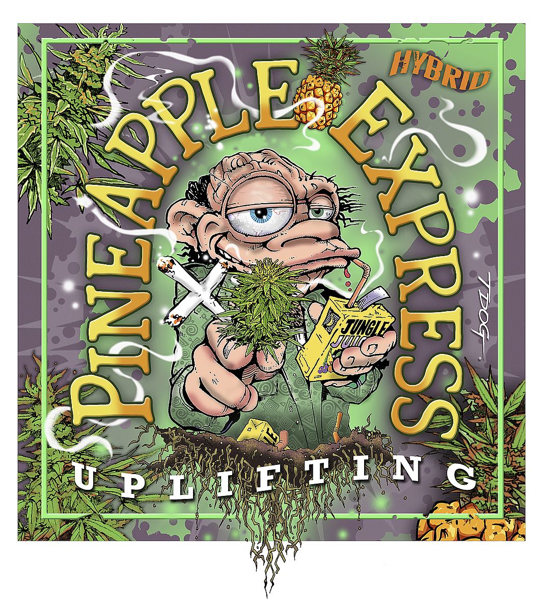 Pineapple Express Image Conscious