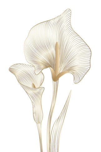 IN37117 - Incado - Lily Line