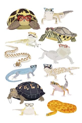 M1987D - Melin, Hanna - Reptiles in Glasses