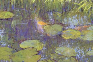 W1364D - Wasson, Carol Strock - Hide and Seek