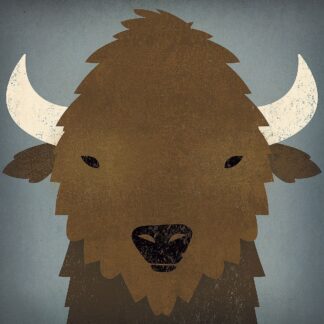 WA-20811 - Fowler, Ryan - Buffalo II