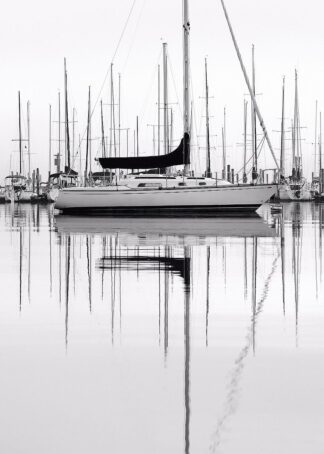 B4613D - Bell, Nicholas - Monochrome Harbor