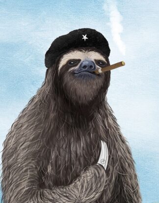 F1011D - Flores, Paula Belle - El Sloth