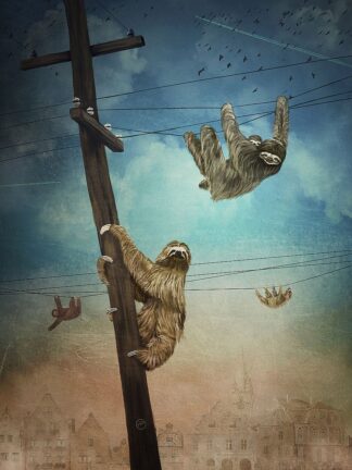 F1015D - Flores, Paula Belle - Sloth City