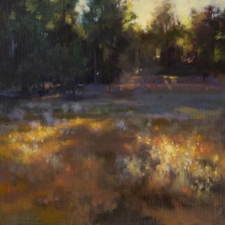 D2271D - Debrosky, Christine - Afternoon Stars