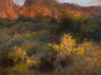 D2273D - Debrosky, Christine - Autumn Bluff