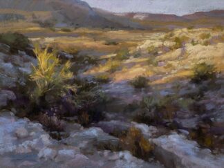 D2279D - Debrosky, Christine - That's the Way the Caliche Crumbles