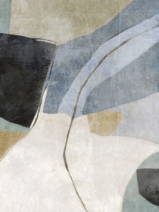 N647D - Nicoll, Suzanne - Blue Canyon 2