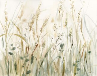 WA-77834 - Pete, Katrina - In the Meadow