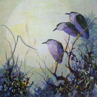 Z1625D - Zittin, Floy - Black-crowned Night-Herons