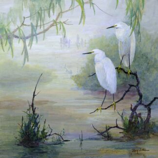 Z1633D - Zittin, Floy - Snowy Egrets in Wetlands