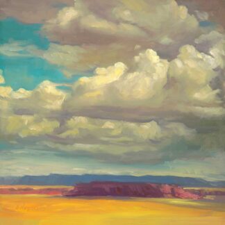 N689D - Norelius, Erica Pollock - Rain Clouds Over the Desert