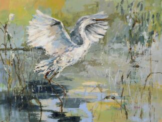 D2293D - Dusza - Shoreline Bird 1