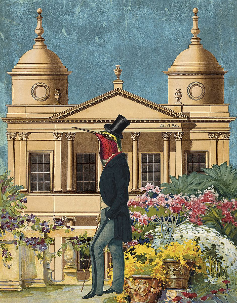 B4646D - Brothers, Erika C. - The Messenger B4646D - Brothers, Erika C. - The Messenger