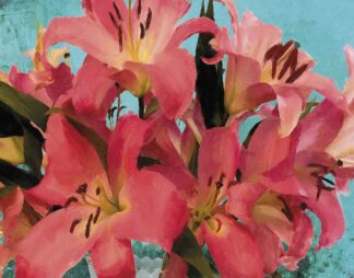 H2459D - Hastings, Porter - Fuchsia