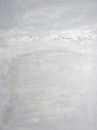 N704D - NLS Design - High Tide