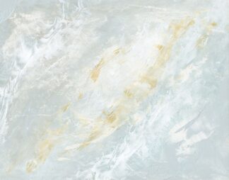 N709D - NLS Design - Pool