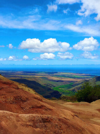 D2329D - Dell, Nicole - Waimea View