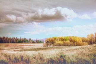 B4685D - Berry, Christy - Wyoming Soft Fall Colors