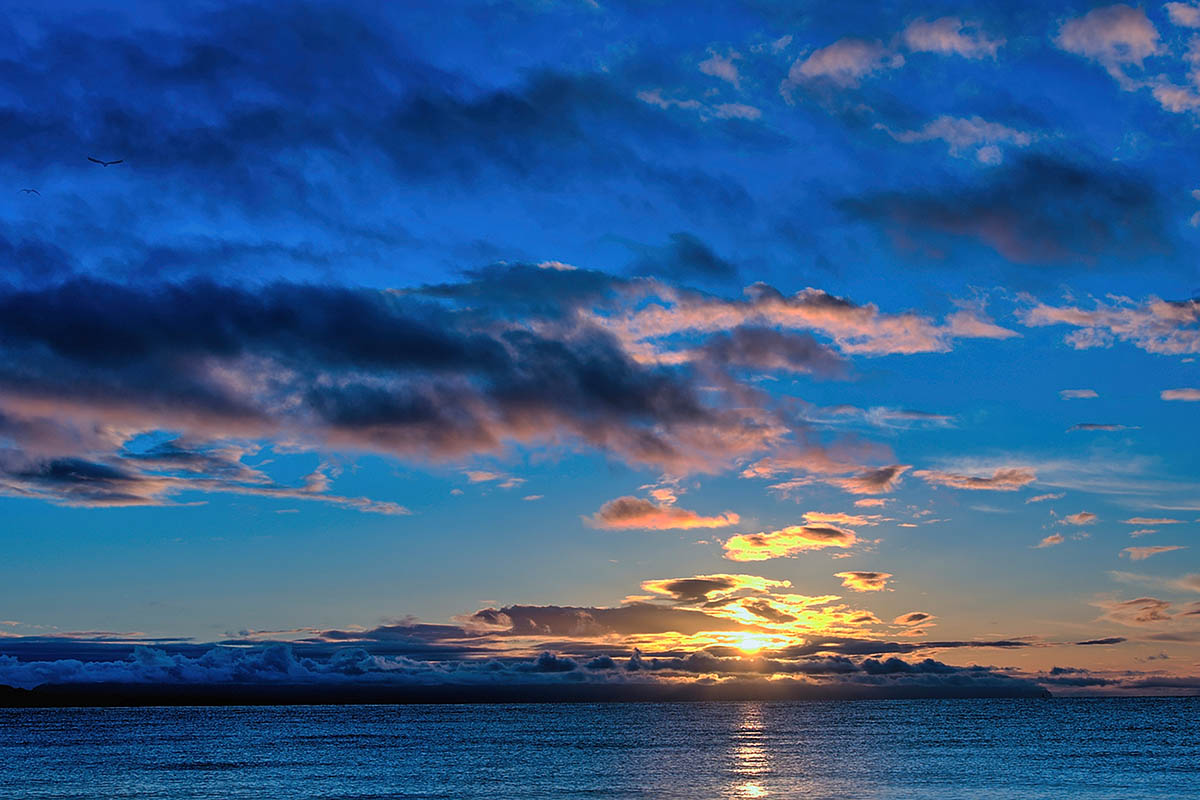 B4696D - Burdick, Chuck - Sunrise at Goose Spit 84 B4696D - Burdick, Chuck - Sunrise at Goose Spit 84
