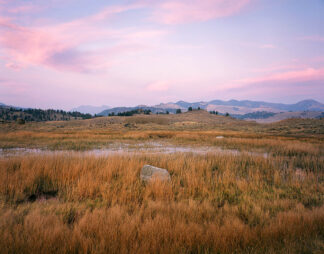 B4700D - Becia, Jim - Morning Light, Rock and Grasses - Yellowstone