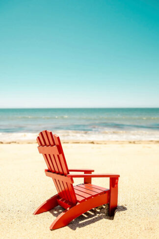 C1578D - Chukhlebova, Elena - A Place For Dreams