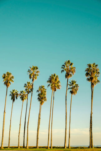 C1583D - Chukhlebova, Elena - Giants by the Ocean