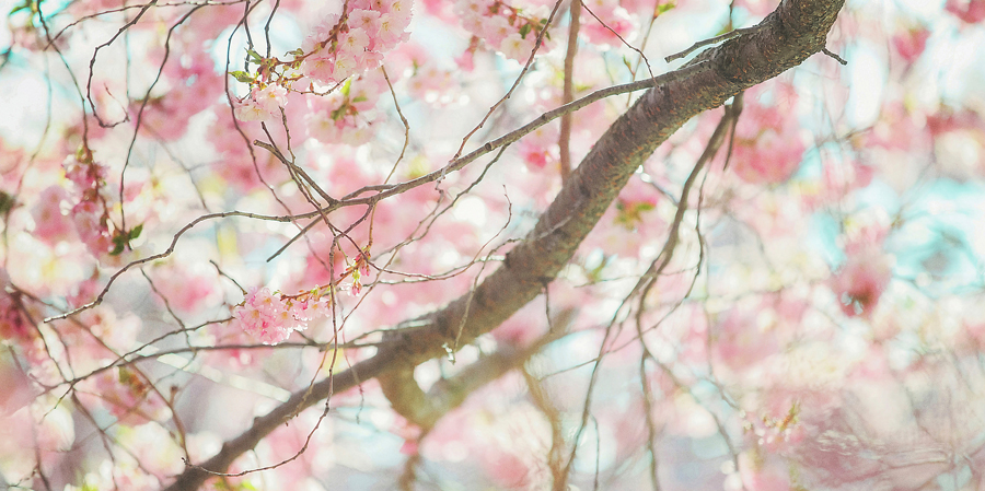 G2351D-detail-spring-2025