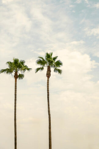C1589D - Chukhlebova, Elena - Duet Under the California Sun