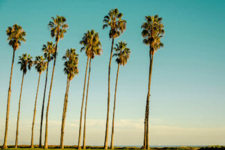 C1594D - Chukhlebova, Elena - Under the California Sky