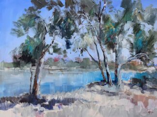 P1374D - Penny, Craig Trewin - River at Mildura