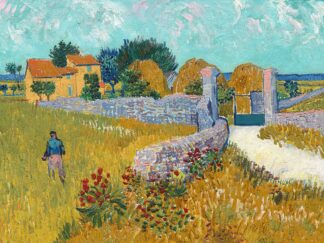 V822D - Van Gogh, Vincent - Farmhouse in Provence, 1888
