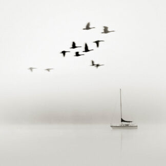 B4758D - Bell, Nicholas - Windward No. 3