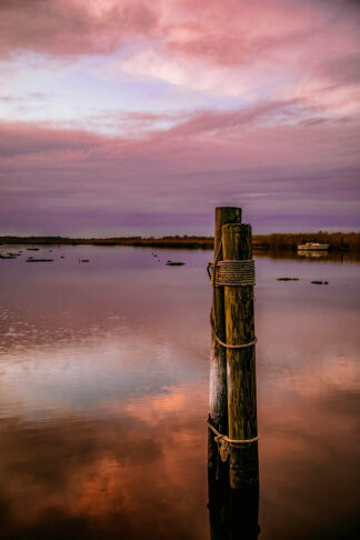 B4773D - Berry, Christy - Pink Morning Mooring