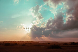 B4774D - Berry, Christy - Sunset Dreamscape