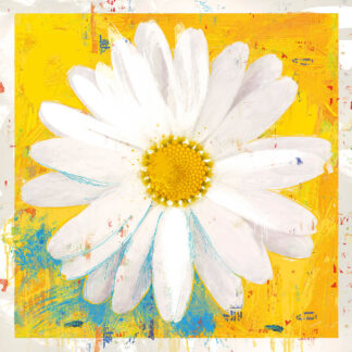 H2535D - Hastings, Porter - VioletÕs Daisy