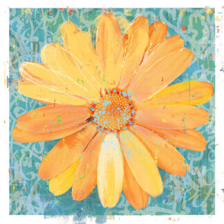 H2536D - Hastings, Porter - Urban Daisy