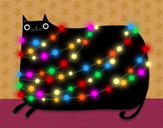 A927D - Avila, Gabriela - December Cat