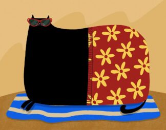 A930D - Avila, Gabriela - Summer Cat